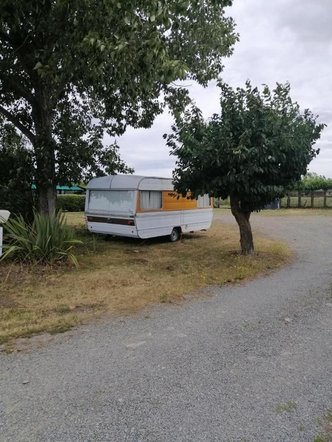 Rangiora Eco Holiday Park Fernside Extérieur photo